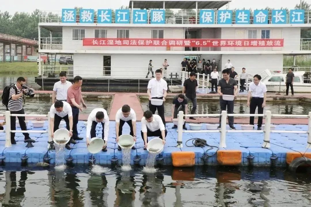 现场增殖放流.jpg